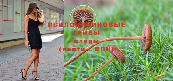 молекула духа Абинск