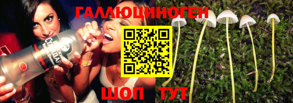 Псилоцибиновые грибы ЛСД Красноуфимск